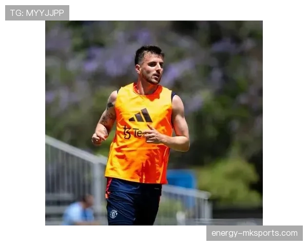 富勒姆延续强势表现,英超赛场再掀关注热潮 富勒姆延续强势表现,英超赛场再掀关注热潮